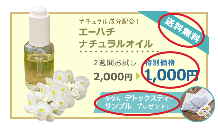 購入までのハードルが低いプログラムイメージ