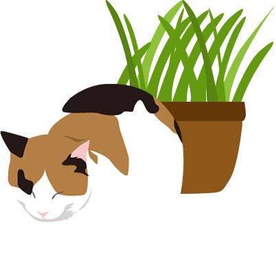 猫草と猫
